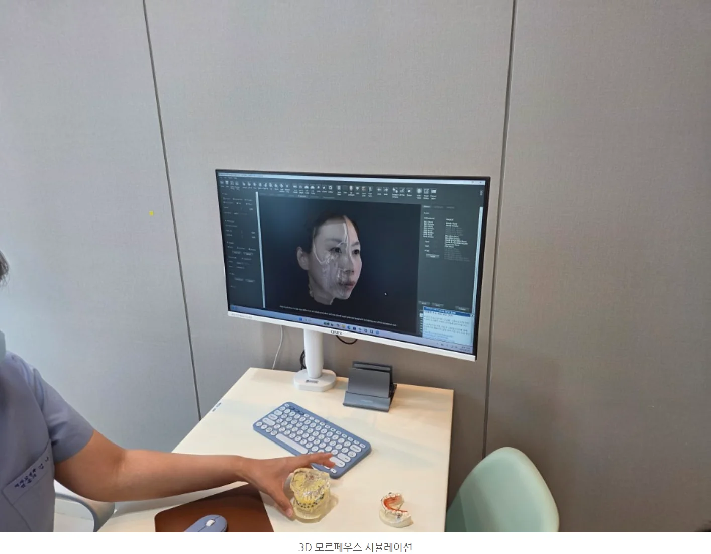3D 모르페우스 시뮬레이션